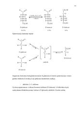 Angliavandeniai (karbohidratai, sacharidai) 10 puslapis
