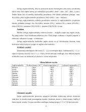 Sotieji, nesotieji ir aromatiniai angliavandeniliai 4 puslapis
