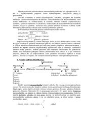 Angliavandenių apykaita 2 puslapis