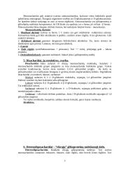 Angliavandenių apykaita 5 puslapis