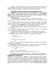 Angliavandenių apykaita 7 puslapis