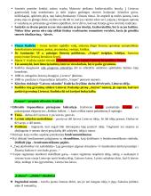 Lietuvių k. konspektas. Romantizmas. Pozityvizmas 3 puslapis