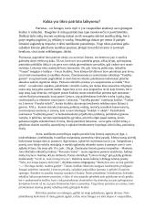 Kokia yra tikro patrioto laikysena?