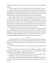 Ankstyvosios empirinės vadybos teorijos 5 puslapis