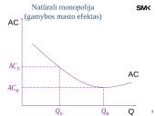 Pagrindiniai rinkos stuktūrų tipai  8 puslapis