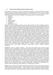 Antikinė literatūra kosnpektas 11 puslapis