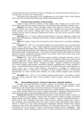 Antikinės literatūros teorija 13 puslapis