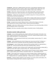 Literatūros rūšys, stiliai ir meninės priemonės 2 puslapis