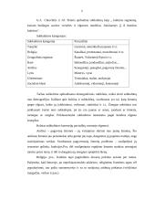 Aplinkos veiksniai ir jų įtaka vartotojo elgsenai 4 puslapis