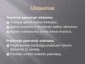 Lyrikos tekstų analizė, Mačernio 11 rudens sonetas 3 puslapis