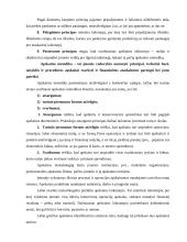 Apskaitos teorijos pagrindai 2 puslapis