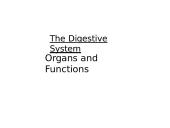 The Digestive System. Organs and Functions