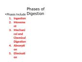 The Digestive System. Organs and Functions 2 puslapis