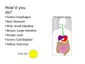 The Digestive System. Organs and Functions 18 puslapis