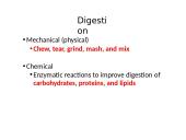 The Digestive System. Organs and Functions 3 puslapis
