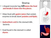 The Digestive System. Organs and Functions 7 puslapis