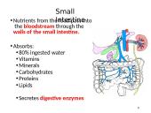 The Digestive System. Organs and Functions 9 puslapis