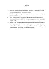 Metodai ir principai bei Lean sistema 10 puslapis