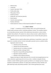 Metodai ir principai bei Lean sistema 4 puslapis