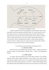 Metodai ir principai bei Lean sistema 6 puslapis
