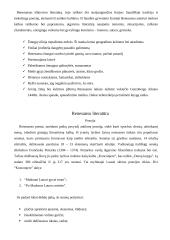 Atgimimo literatūra 2 puslapis