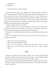 Atgimimo literatūra 3 puslapis