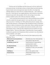 Laiko planavimas ir jo svarba 5 puslapis