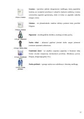 Sienos dažymas naudojant dažymo juostą 12 puslapis