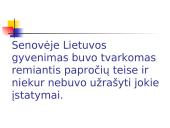 Konstitucija - žmogaus teisių ir laisvių garantas 2 puslapis