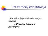 Konstitucija - žmogaus teisių ir laisvių garantas 11 puslapis