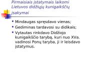 Konstitucija - žmogaus teisių ir laisvių garantas 3 puslapis