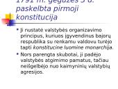 Konstitucija - žmogaus teisių ir laisvių garantas 8 puslapis