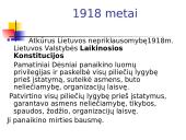Konstitucija - žmogaus teisių ir laisvių garantas 9 puslapis