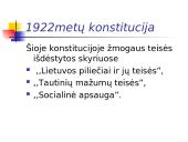Konstitucija - žmogaus teisių ir laisvių garantas 10 puslapis