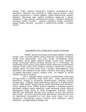 Aukso ir sidabro vaidmuo pinigų atsiradime 5 puslapis