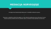 Mediacija Norvegijoje 2 puslapis