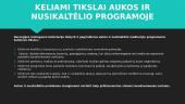 Mediacija Norvegijoje 3 puslapis