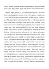 Žmogus be privatumo - tai žmogus be orumo 2 puslapis