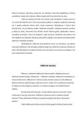 Filosofija Konspektas 4 puslapis