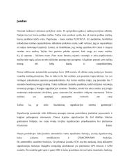 Automobilio apsauga AutoGuard 3 puslapis