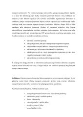 Automobilio apsauga AutoGuard 10 puslapis