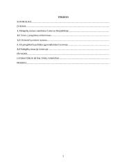 Pabėgėlių statuso teisinio reglamentavimo situacija Lietuvoje 2 puslapis