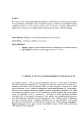 Pabėgėlių statuso teisinio reglamentavimo situacija Lietuvoje 4 puslapis