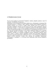 Pabėgėlių statuso teisinio reglamentavimo situacija Lietuvoje 8 puslapis