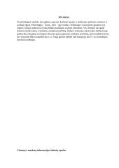 Politologijos žinių reikšmė teisininkės/teisininko veiklai 10 puslapis