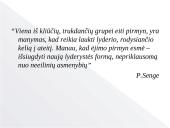 Lyderystės tipų skaidės 2 puslapis