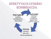 Lyderystės tipų skaidės 12 puslapis