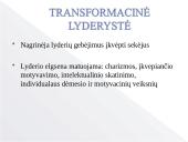 Lyderystės tipų skaidės 15 puslapis