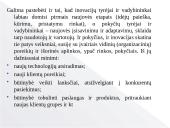 Lyderystės tipų skaidės 18 puslapis
