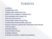 Lyderystės tipų skaidės 3 puslapis